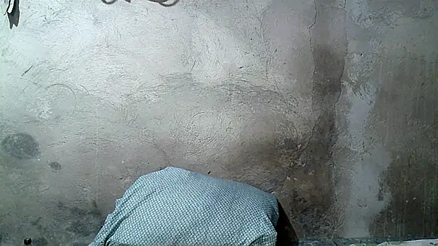 xwindyxxx online show from March 7, 2026, 9:27 am