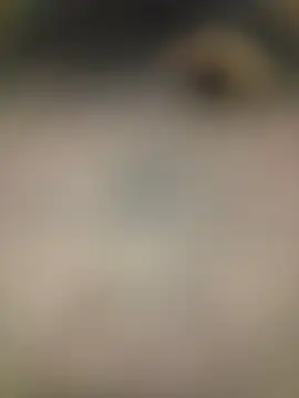 piggylatino online show from February 2, 2026, 6:01 am