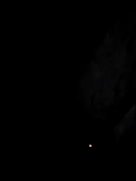 arcacsel online show from November 29, 2025, 10:54 pm