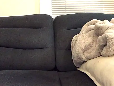 Snapshot of ch31285 chatting on February 6, 2026, 12:06 am ch31285 online show from February 6, 2026, 12:06 am