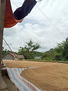 Lyly sexyy online show from June 25, 2026, 5:12 am