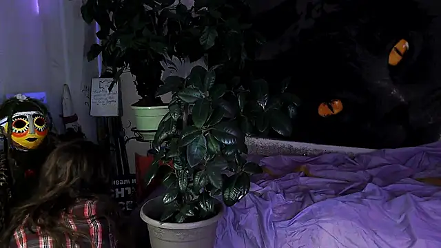 Personal Bulldozer online show from December 1, 2025, 1:34 pm