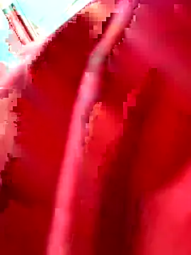 julianlondo111 online show from February 24, 2026, 6:53 pm