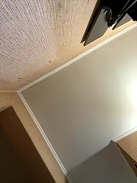 SqurtForYou online show from November 18, 2025, 6:06 am