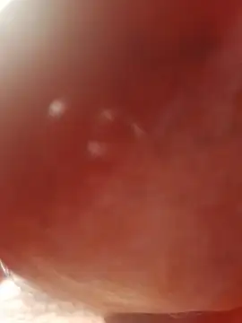 Ratacrocante online show from December 19, 2025, 8:55 pm