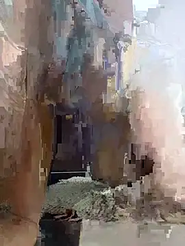 Snapshot of ErringDigs chatting on January 17, 2026, 6:00 pm ErringDigs online show from January 17, 2026, 6:00 pm