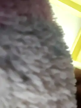 Minakshi-Gi online show from February 18, 2026, 7:32 pm