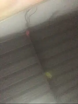 sexguruxxx online show from November 24, 2025, 2:39 pm