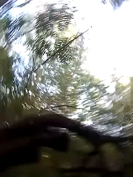 Snapshot of juunioreest chatting on January 10, 2026, 10:49 pm juunioreest online show from January 10, 2026, 10:49 pm