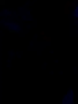 cutestpearl online show from January 13, 2026, 4:44 pm