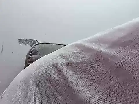 Snapshot of Binnky chatting on April 4, 2026, 2:29 am Binnky online show from April 4, 2026, 2:29 am