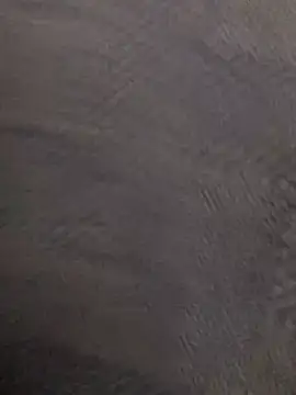 AndreaSFanSTo online show from January 15, 2026, 9:45 am