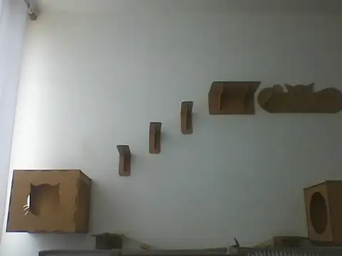 Temp7 online show from March 5, 2026, 2:46 pm