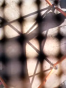 Eezxxx online show from December 3, 2025, 7:30 am