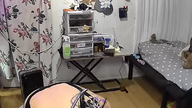 chaoticluvbug online show from February 4, 2026, 4:51 am