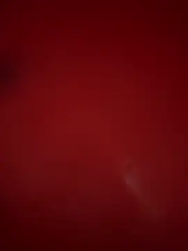 AlexisAndMartina3 online show from December 21, 2025, 8:42 pm