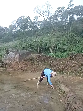 Snapshot of nangmo chatting on March 20, 2026, 11:50 pm nangmo online show from March 20, 2026, 11:50 pm