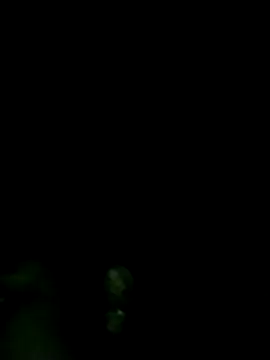 Pooja hote online show from December 2, 2025, 12:11 am