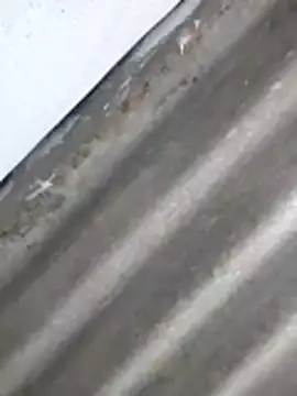 Snapshot of Babita_Gori chatting on April 8, 2026, 2:29 pm Babita Gori online show from April 8, 2026, 2:29 pm