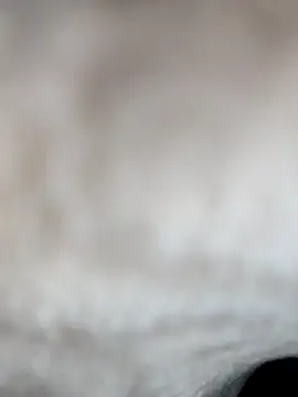 jiniya6789 online show from January 15, 2026, 8:18 am