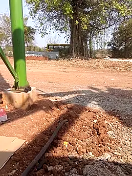 Curvy Vamikaa online show from January 13, 2026, 6:50 am