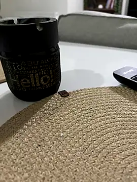 Snapshot of Bigefe chatting on November 28, 2025, 8:53 pm Bigefe online show from November 28, 2025, 8:53 pm