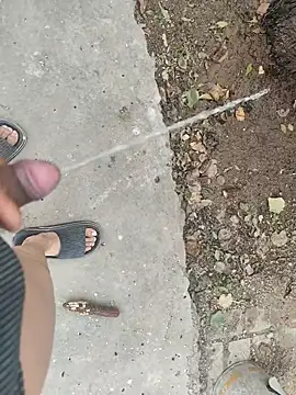 Adandan01 online show from December 2, 2025, 3:52 am