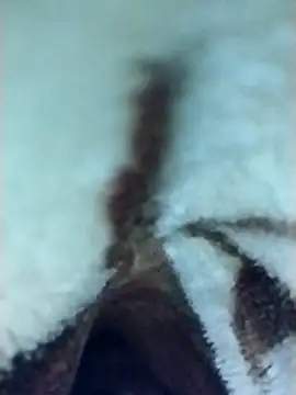 Snapshot of Harry254238 chatting on January 6, 2026, 5:50 pm Harry254238 online show from January 6, 2026, 5:50 pm