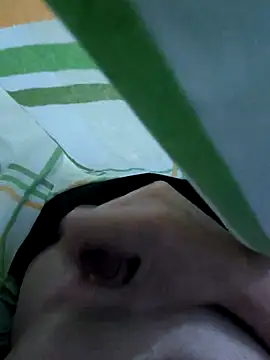 LoiroSafadinho online show from February 28, 2026, 3:17 am