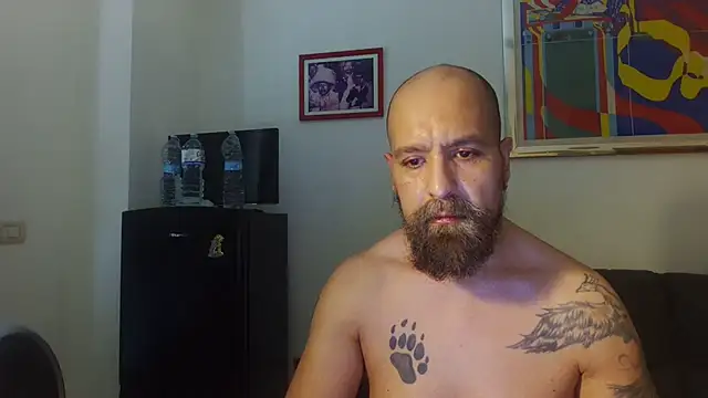 AMIRDIB2025 online show from July 4, 2026, 1:59 pm