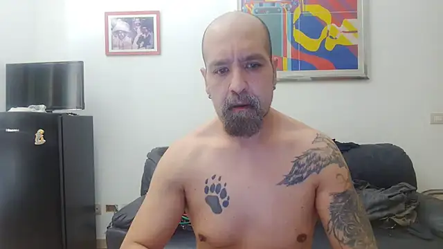 AMIRDIB2025 online show from July 28, 2026, 7:27 am