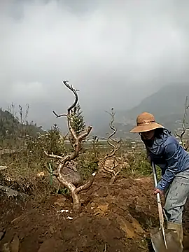 Snapshot of Alibabapi chatting on March 25, 2026, 2:12 am Alibabapi online show from March 25, 2026, 2:12 am