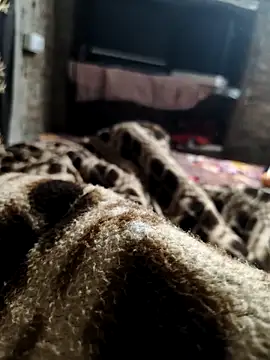 NEW CPL786 online show from December 5, 2025, 2:43 am