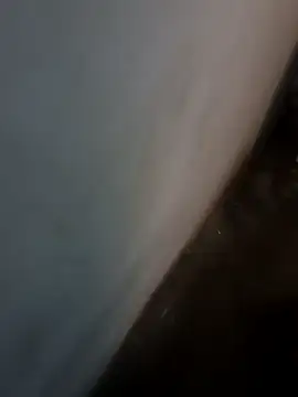 CurbingViper online show from February 14, 2026, 4:51 pm