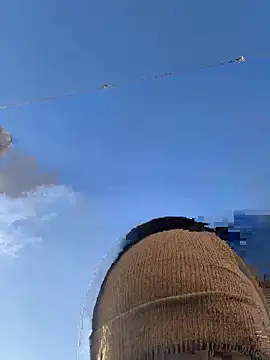 Big German cock974 online show from December 21, 2025, 1:46 pm