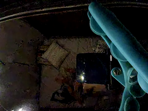 badgirlandjunior69 online show from April 29, 2026, 10:30 am