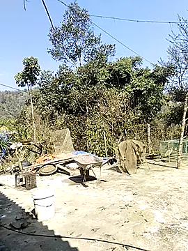 neko-nancy online show from February 16, 2026, 7:07 am