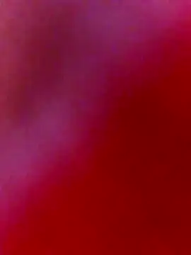 nosrat014 online show from February 2, 2026, 9:41 am