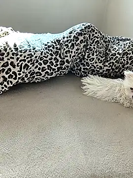 tenifer online show from December 15, 2025, 9:26 am