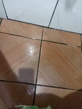 DGG38 online show from March 17, 2026, 12:41 pm