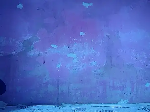 snehaa89 online show from January 14, 2026, 5:44 am