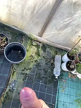 Snapshot of marcoboss chatting on January 14, 2026, 1:48 pm marcoboss online show from January 14, 2026, 1:48 pm