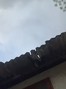 Nika-be online show from March 27, 2026, 1:14 am