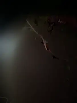 Themoroccandevil online show from March 9, 2026, 6:17 am