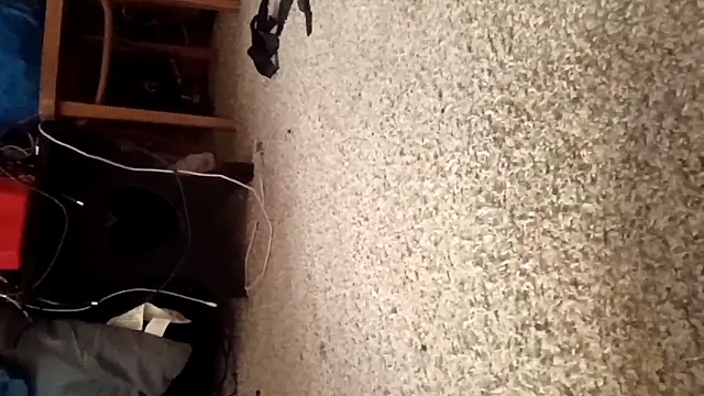 Snapshot of Justis88 chatting on December 16, 2025, 1:04 pm Justis88 online show from December 16, 2025, 1:04 pm