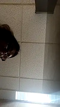 Snapshot of Justis88 chatting on January 8, 2026, 12:27 am Justis88 online show from January 8, 2026, 12:27 am