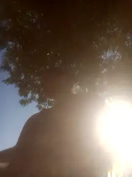 Pinki rajak online show from January 17, 2026, 3:43 am