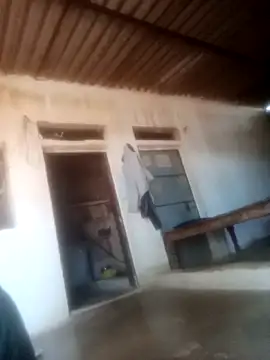 Pinki rajak online show from March 6, 2026, 11:16 am