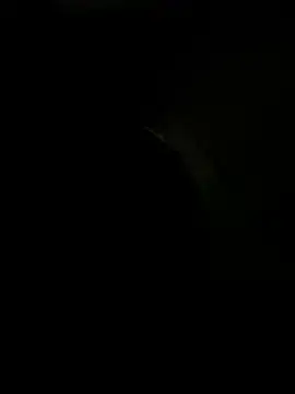 sexonli online show from January 16, 2026, 3:32 am