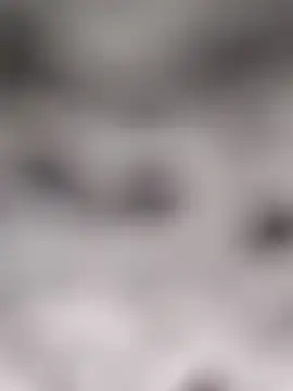 Akanksha soni online show from April 8, 2026, 8:38 am